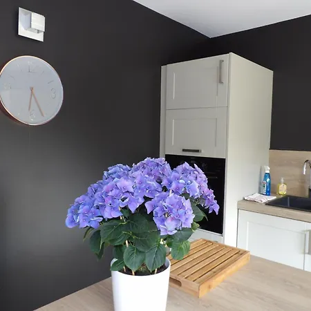 Pensionat Aux Herbes Hautes