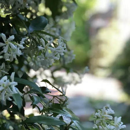 게스트하우스 Aux Herbes Hautes