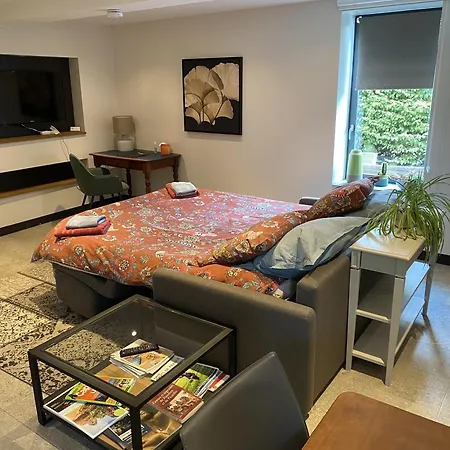 Aux Herbes Hautes 게스트하우스 Fleurbaix