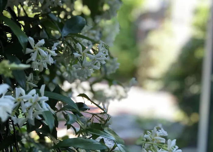 Maison d'hôtes Aux Herbes Hautes
