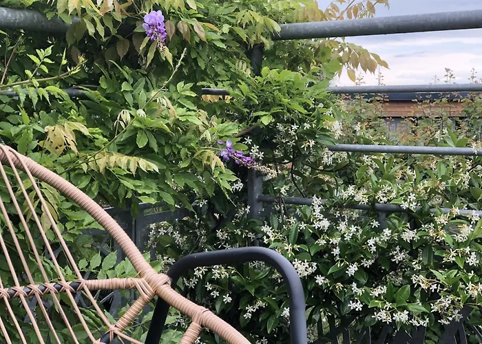 Aux Herbes Hautes 3* Fleurbaix